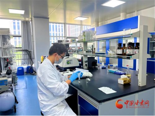 兰州高新区 以生物医药为笔，重绘西北产业基因图谱的技术服务新篇章
